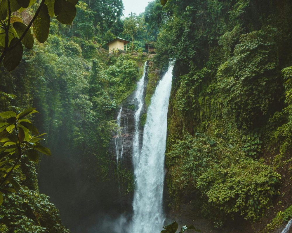 travel