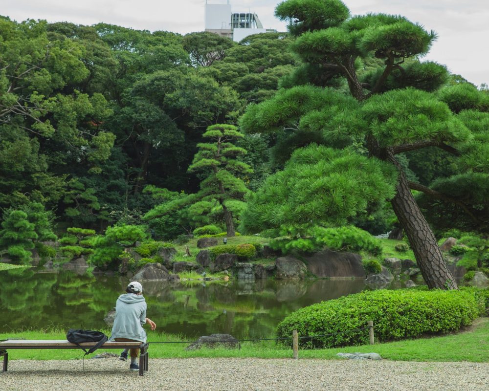 japan green